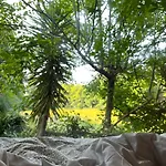 Springfield Vila Valongo (Porto)