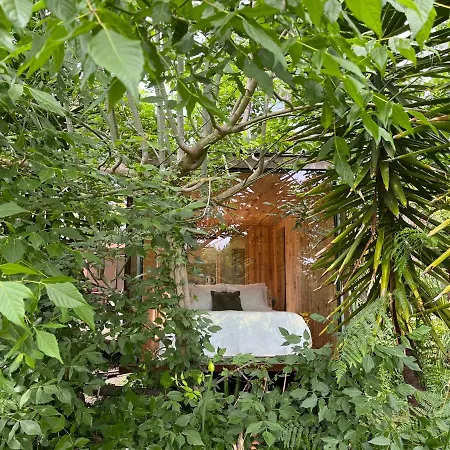 Springfield Villa Valongo (Porto)