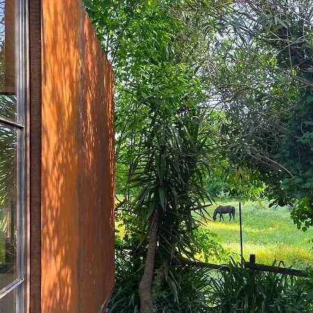 Springfield * Valongo