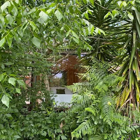 Villa Springfield Valongo (Porto)