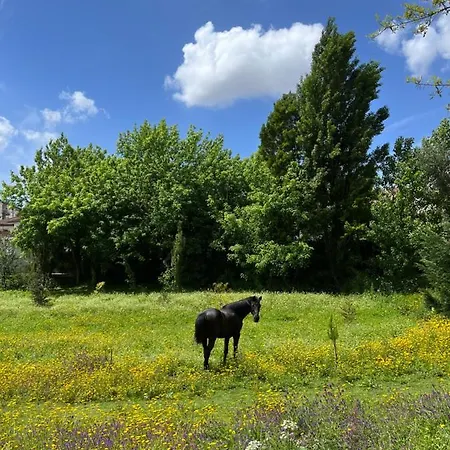 Springfield * Valongo (Porto)