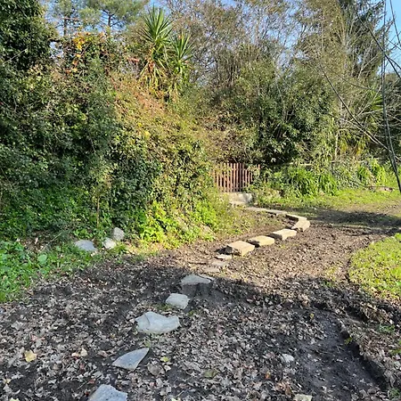 Вилла Springfield *