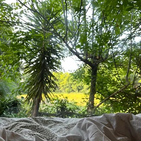 Springfield Villa Valongo (Porto)