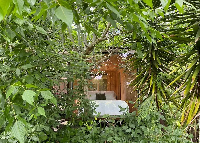 Springfield Вилла Валонгу