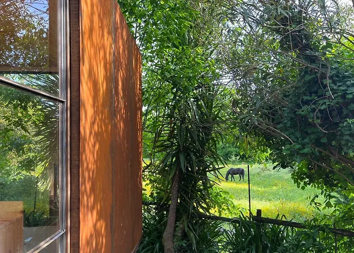 Springfield * Валонгу