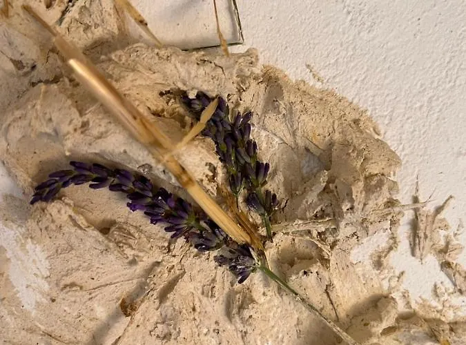 Вилла Springfield *