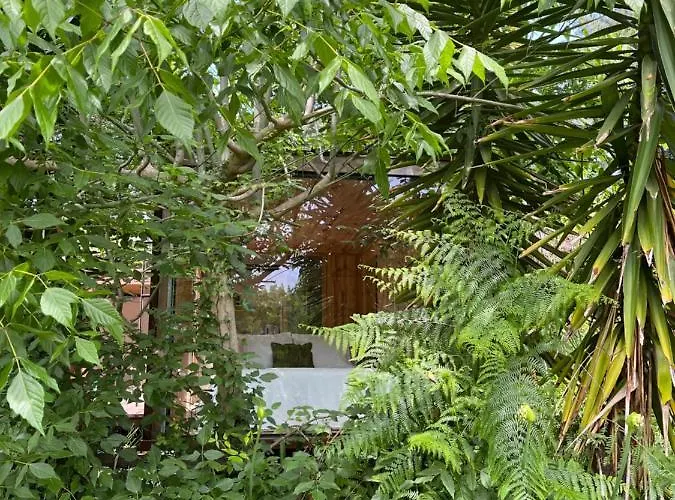 Villa Springfield Valongo (Porto)