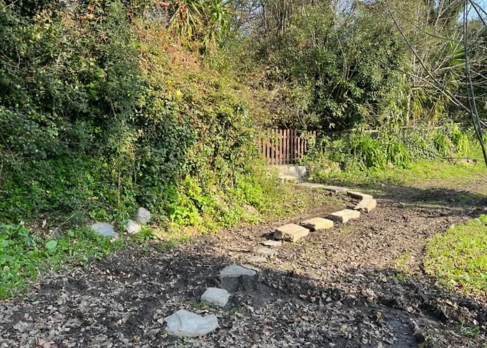 Вилла Springfield *