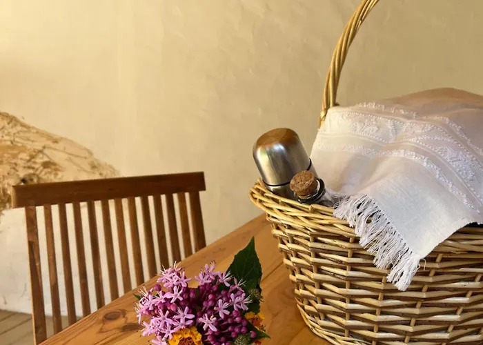 Springfield Валонгу