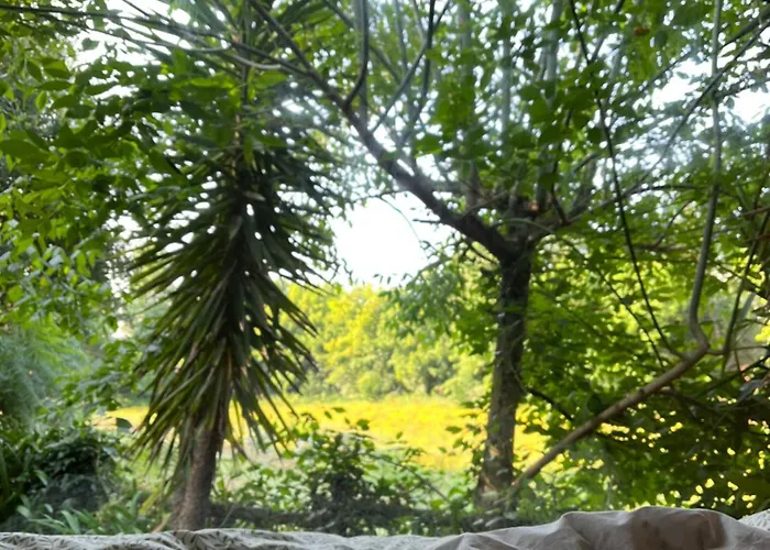 Springfield Villa Valongo (Porto)